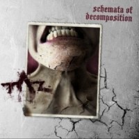 Purchase T.A.Z. - Schemata Of Decomposition