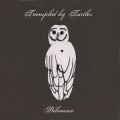 Buy Trampled By Turtles - Palomino Mp3 Download