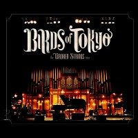 Purchase Birds Of Tokyo - The Broken Strings Tour CD2