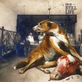 Buy True - Still Life Mp3 Download