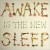 Purchase Ben Lee- Awake Is The New Sleep MP3