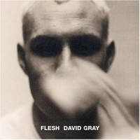 Purchase David Gray - Flesh