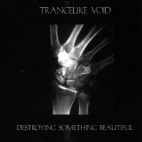 Purchase Trancelike Void - Destroying Something Beautiful