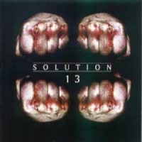 Purchase Solution 13 - Solution 13