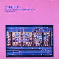 Purchase Synergy - Computer Experiments, Vol. 1