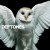Buy Deftones - Diamond Eyes Mp3 Download