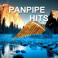 Purchase Wolfgang Remo - Pan Pipe Hits