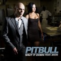 Buy Pitbull - Shut it Down (CDS) Mp3 Download