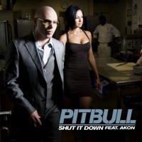 Purchase Pitbull - Shut it Down (CDS)