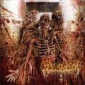 Buy Fleshrot - Traumatic Reconfiguration Mp3 Download