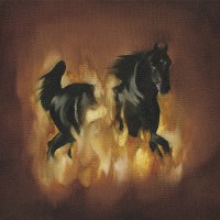 Purchase The Besnard Lakes - The Besnard Lakes Are The Dark Horse