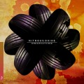 Buy Nitrous Oxide - Dreamcatcher Mp3 Download
