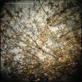 Buy Horse Feathers - Thistled Spring Mp3 Download