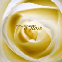 Purchase Stefano Panunzi - A Rose