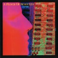 Buy A Flock Of Seagulls - Listen Mp3 Download