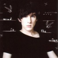 Purchase Patrick Wolf - Wind In The Wires