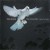 Buy Karl Jenkins - The Armed Man - A Mass For Peace Mp3 Download