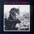 Buy Current 93 - Dogs Blood Rising Mp3 Download