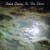 Buy Peter Green - In The Skies Mp3 Download