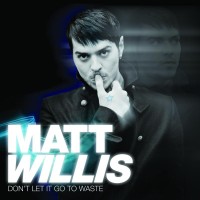 Purchase Matt Willis - Dont Let It Go To Waste