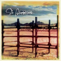 Purchase Gin Blossoms - Outside Looking In: The Best Of Gin Blossoms