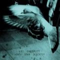 Buy Vic Chesnutt - North Star Deserter Mp3 Download
