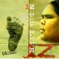 Buy Israel Kamakawiwo'ole - In Dis Life Mp3 Download