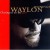 Buy Waylon Jennings - Closing in on the Fire Mp3 Download