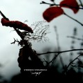 Buy Stendeck - Sonnambula Mp3 Download