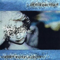 Purchase The Pineapple Thief - Variations On A Dream