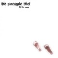 Buy The Pineapple Thief - Little Man Mp3 Download