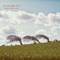 Buy The Pineapple Thief - What We Have Sown Mp3 Download