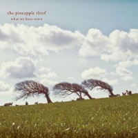 Purchase The Pineapple Thief - What We Have Sown