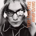 Buy David Gray - Sell, Sell, Sell Mp3 Download