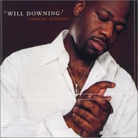 Purchase Will Downing - Sensual Journey