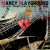 Buy Marcy Playground - Leaving Wonderland...In A Fit Of Rage Mp3 Download