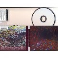 Buy Lisa Germano - Magic Neighbor Mp3 Download