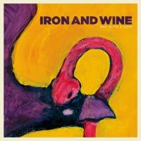 Purchase Iron & Wine - Boy With A Coin