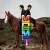 Buy MGMT - Climbing To New Lows Mp3 Download