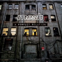 Purchase Mesh - A Perfect Solution
