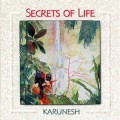 Buy Karunesh - Secrets Of Life Mp3 Download
