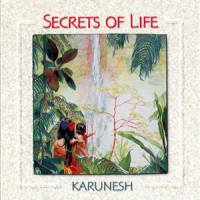 Purchase Karunesh - Secrets Of Life