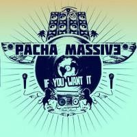 Purchase Pacha Massive - If You Want It