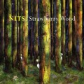 Buy Nits - Strawberry Wood Mp3 Download