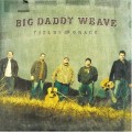 Buy Big Daddy Weave - Fields Of Grace Mp3 Download