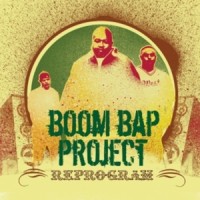 Purchase Boom Bap Project - Reprogram