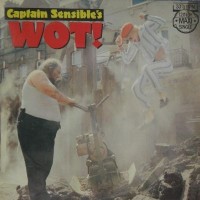 Purchase Captain Sensible - Wot (CDS)