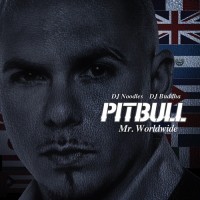 Purchase Pitbull - Mr. Worldwide
