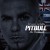 Buy Pitbull - Mr. Worldwide Mp3 Download