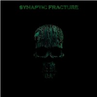 Purchase Synaptic Fracture - The Lunatic Transmissions